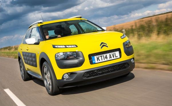 C4 Cactus Goes On Sale In The UK